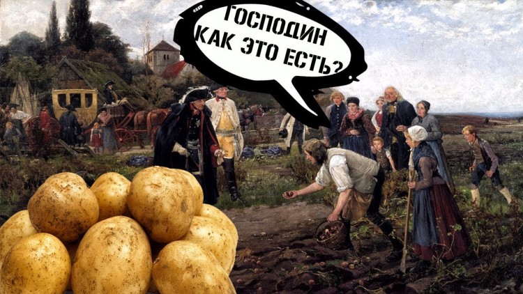 Как на Руси появилась картошка, и почему люди не хотели ее есть (3 фото + видео) . Чёрт побери